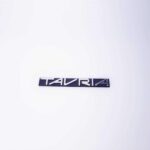 Емблема TAVRIA ляди 1102 (літери)  Ориг.