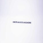 Емблема ZAZ-DAEWOO ляди 1102 (літери)