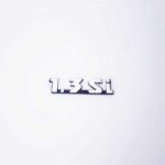 Емблема крила 1,3 Si